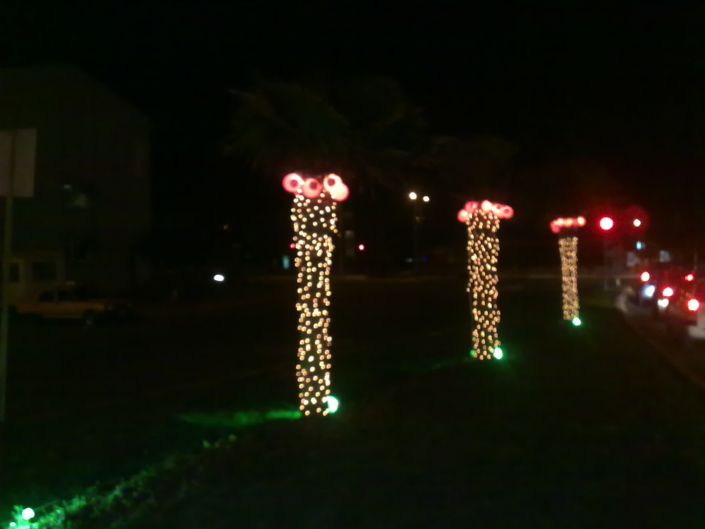 belediye-led-suslemeleri-6