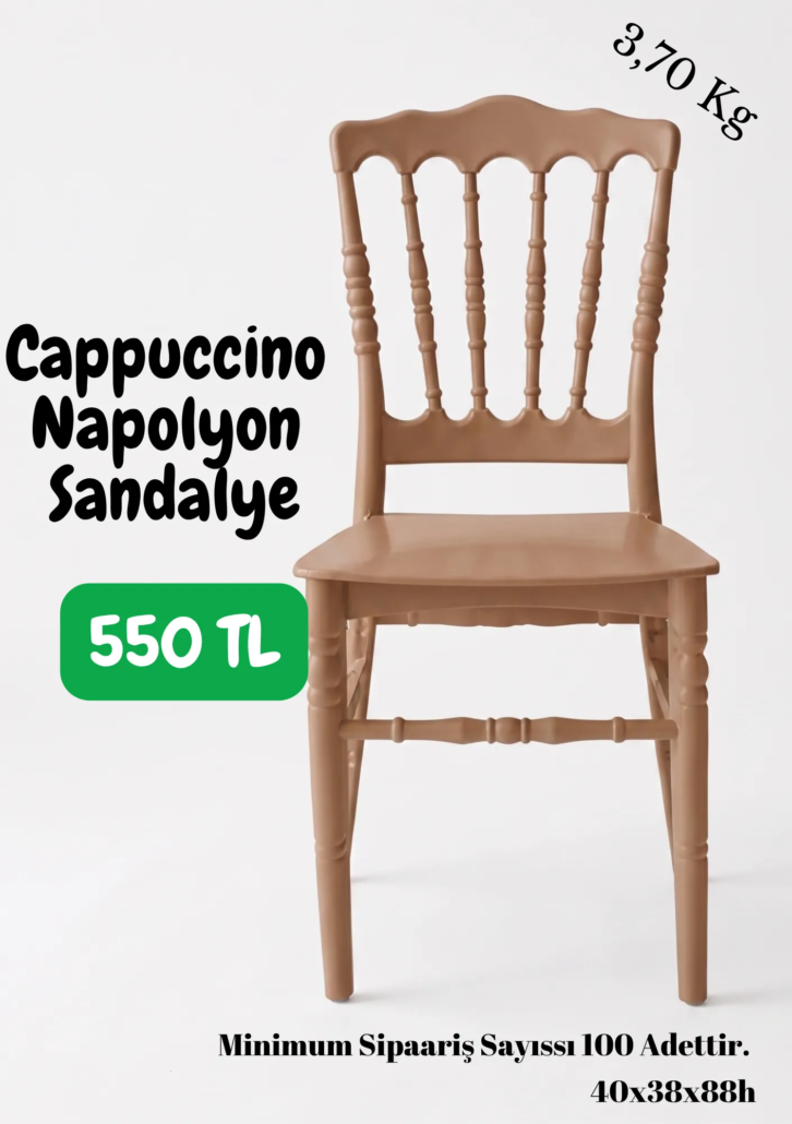 Dayanıklı Napolyon sandalye modeli